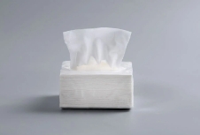 如何以獨到的觀點和創(chuàng)新的角度構(gòu)建一款吸引人的紙巾品牌網(wǎng)站？